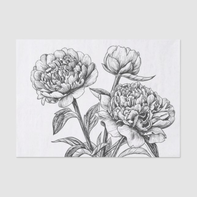 Peony Tinte zeichnend Seidenpapier (Vorderseite)