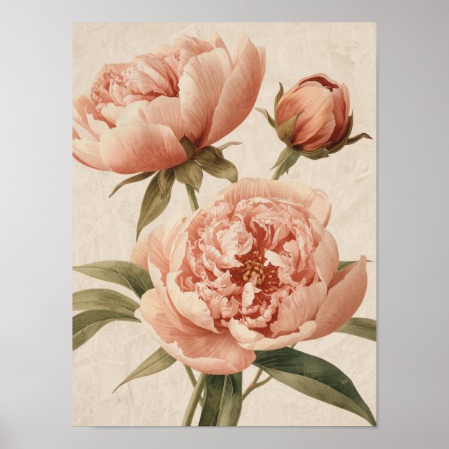 Peony Watercolor Elegance Poster (Vorne)
