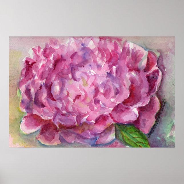 Peony Watercolor Poster (Vorne)