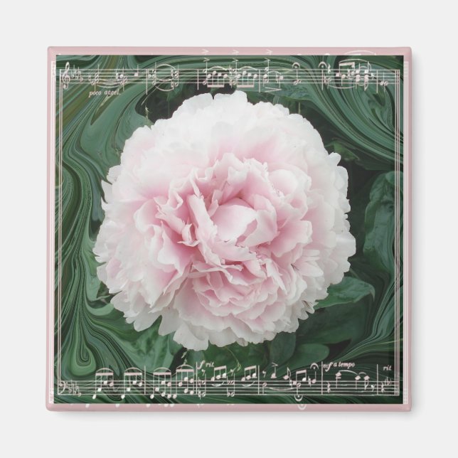 PeonyMusicMagnet Magnet (Vorne)
