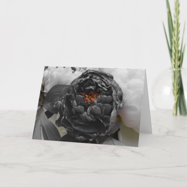 Peonys / Abgeschiedene Farbe Karte (Vorderseite)