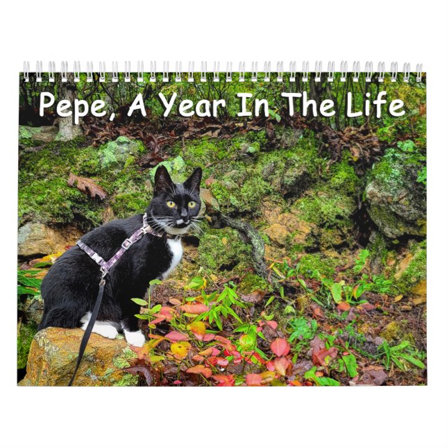 Pepe, ein Jahr im Lebenskalender Kalender (Titelbild)