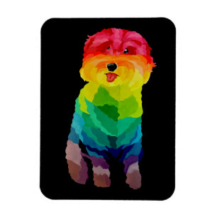 Pepita Regenbogen Flexible Magnet