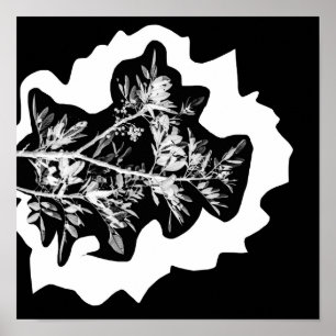 Pepper Tree Blume Blätter Nature Poster