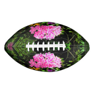 Peppermint Drehung Phlox im Blumengarten Football