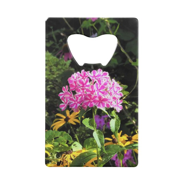 Peppermint Drehung Phlox im Blumengarten Geldbeutel Flaschenöffner (Vorderseite)