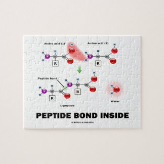 Peptidbinde in chemischen Molekülen Puzzle