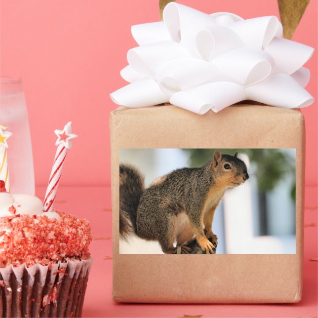 Perch Rechteckiger Aufkleber (Party)