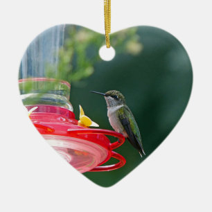 Perched Hummingbird Keramik Ornament