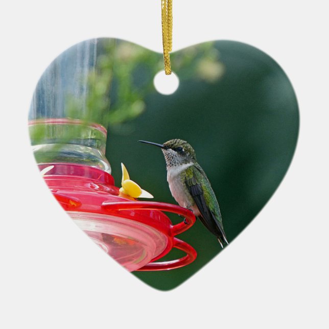 Perched Hummingbird Keramikornament (Vorne)