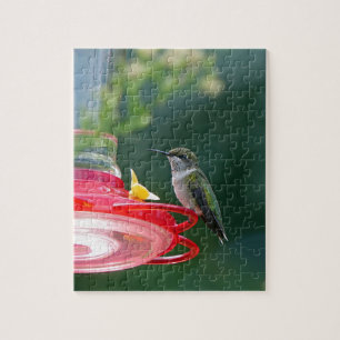Perched Hummingbird Puzzle