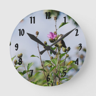 Perched Hummingbird Runde Wanduhr