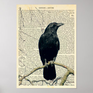 Perched Raven, Crow, Edgar Allan Poe, Gothic Poster