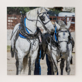 Percheron Draft Horse Puzzle