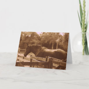 Percheron Grußkarte Karte