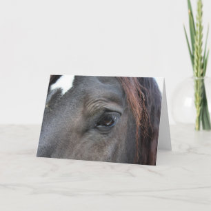 Percheron Horse Grußkarte Karte
