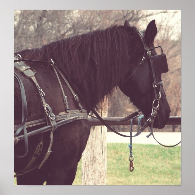 Percheron, Imitate Vintag Poster (Vorne)