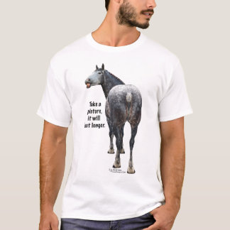Percheron machen ein Foto T-Shirt