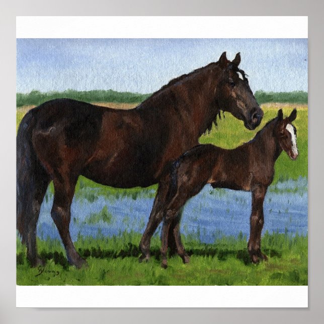 Percheron Mare und Foal Portrait Poster (Vorne)