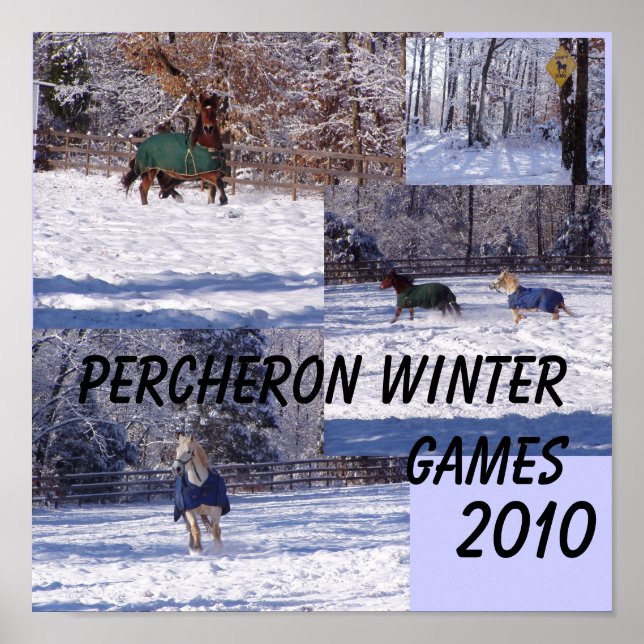 PERCHERON WINTER GAMES, 2013 POSTER (Vorne)