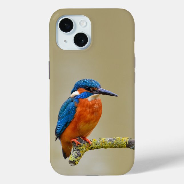 Perching Kingfisher Case-Mate iPhone Hülle (Rückseite)