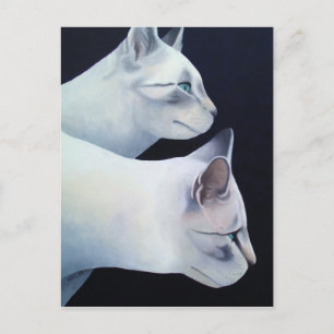 Percival & Lancelot Postkarte