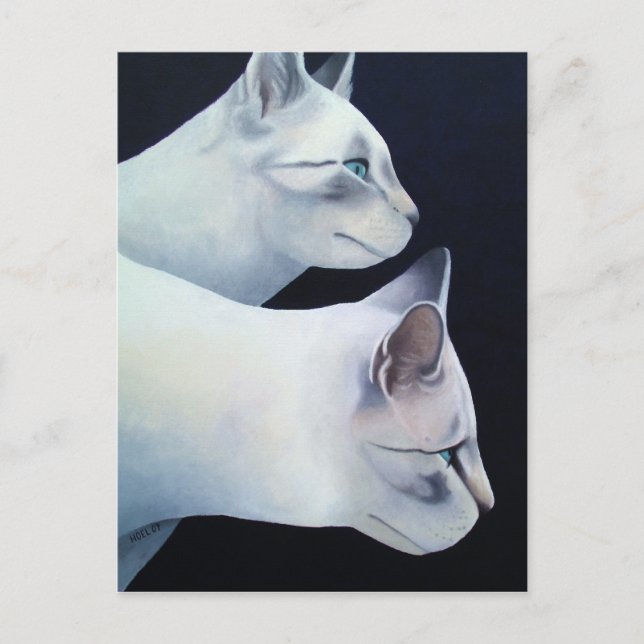 Percival & Lancelot Postkarte (Vorderseite)