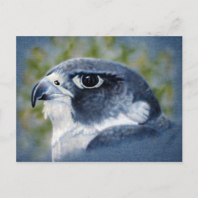 Peregrine-Airbrush Postkarte (Vorderseite)