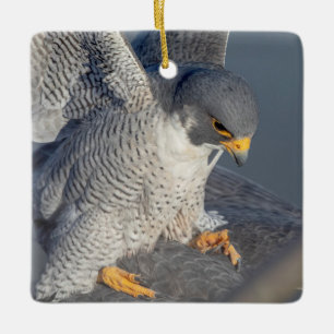 Peregrine Falcon along the Hudson River Keramikornament