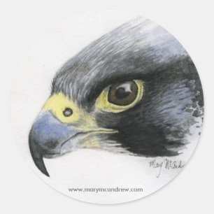 Peregrine Falcon Aufkleber