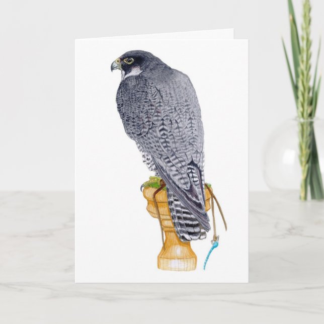 Peregrine Falcon Birthday Card Karte (Vorderseite)