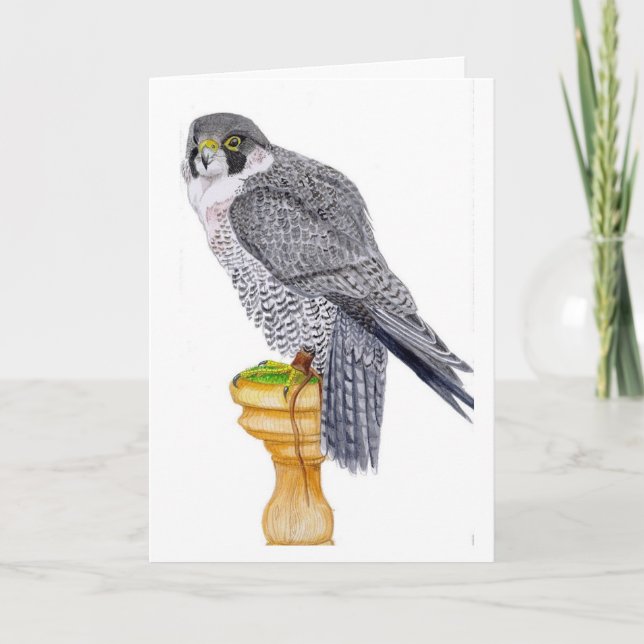 Peregrine Falcon Birthday Card Karte (Vorderseite)
