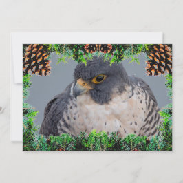 Peregrine Falcon Christmas Card by Debbie Quick Feiertagskarte