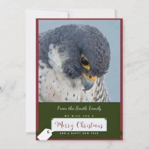 Peregrine Falcon Christmas Card Feiertagskarte