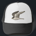 Peregrine Falcon Colored Pencil Art Truckerkappe<br><div class="desc">Karo diese phantastische Bleistiftzeichnung eines Wanderfalke aus und mach dich bereit für etwas Schnelligkeit! Karo in meinem Shop für weitere Designs!</div>