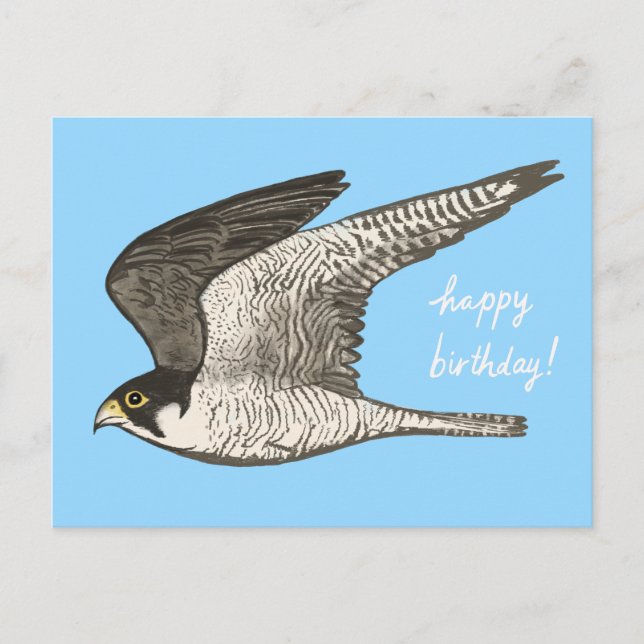 Peregrine Falcon Colored Pencil GLÜCKLICH BIRTHDAY Postkarte (Vorderseite)