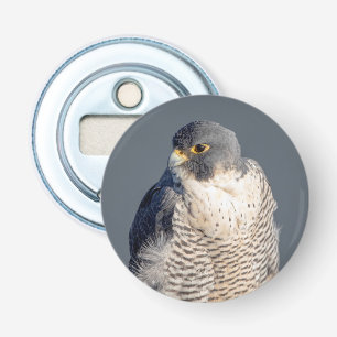 Peregrine Falcon entlang des Hudson River Flaschenöffner