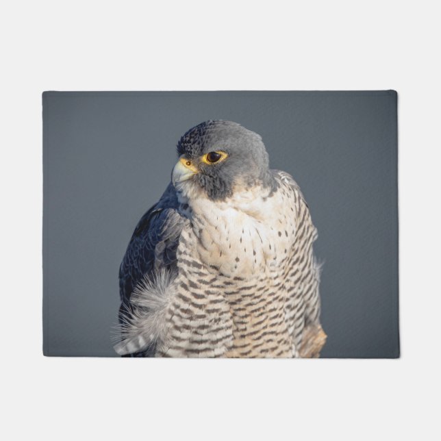 Peregrine Falcon entlang des Hudson River Fußmatte (Vorderseite)