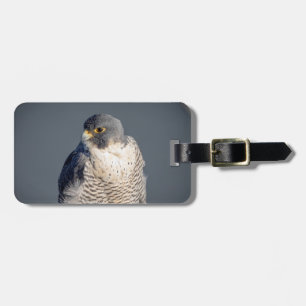 Peregrine Falcon entlang des Hudson River Gepäckanhänger