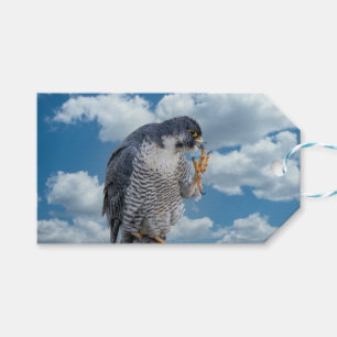 Peregrine Falcon entlang des Hudson River Geschenkanhänger