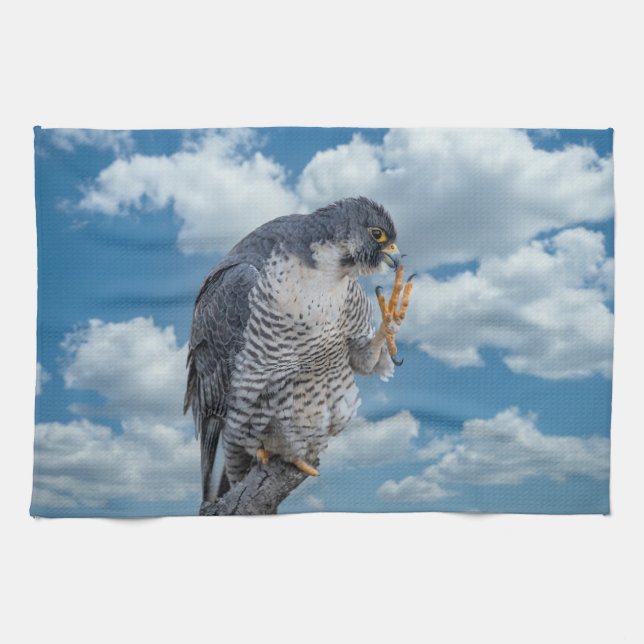 Peregrine Falcon entlang des Hudson River Geschirrtuch (Horizontal)