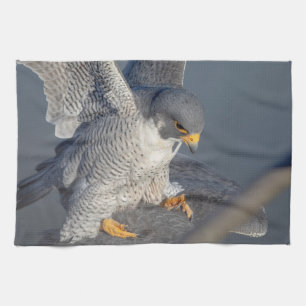 Peregrine Falcon entlang des Hudson River Geschirrtuch