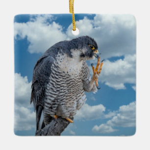 Peregrine Falcon entlang des Hudson River Keramikornament