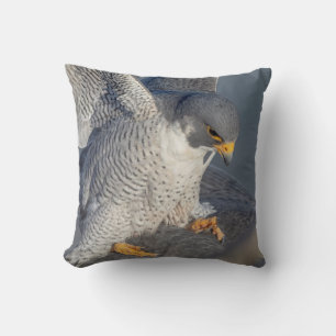 Peregrine Falcon entlang des Hudson River Kissen