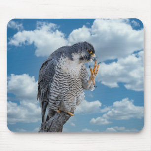 Peregrine Falcon entlang des Hudson River Mousepad