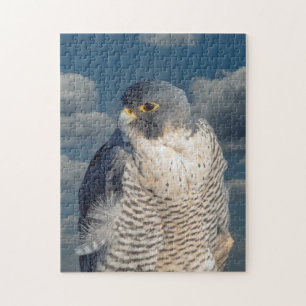 Peregrine Falcon entlang des Hudson River Puzzle