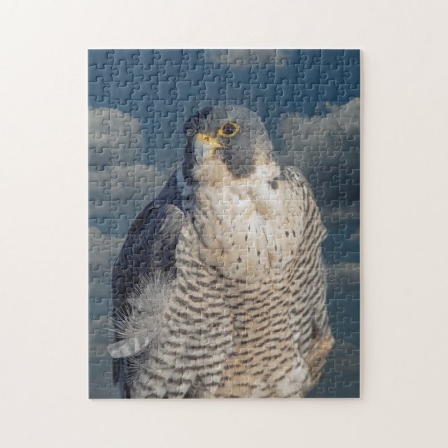 Peregrine Falcon entlang des Hudson River Puzzle (Vertikal)