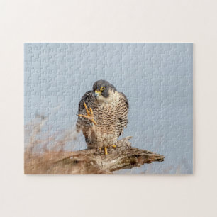 Peregrine Falcon entlang des Hudson River Puzzle