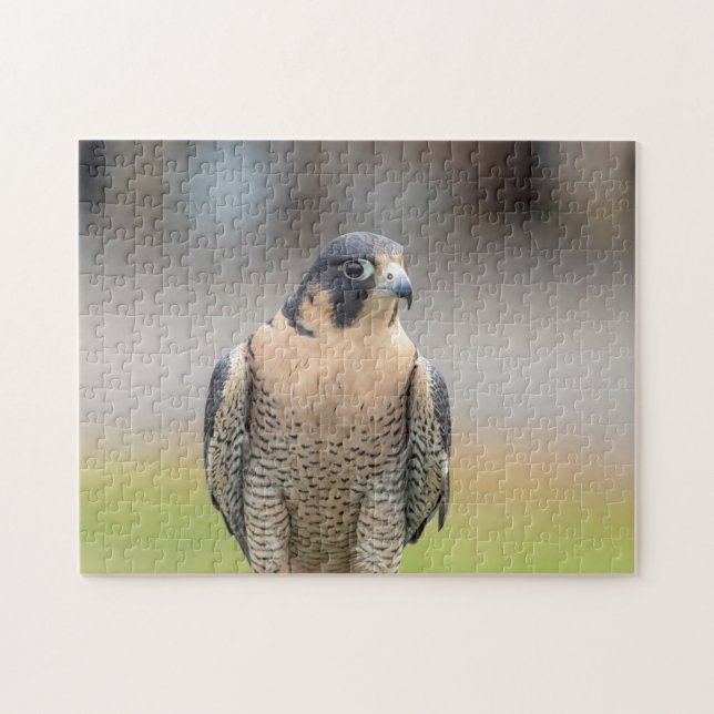 Peregrine Falcon entlang des Hudson River Puzzle (Horizontal)