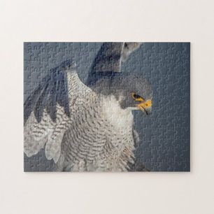 Peregrine Falcon entlang des Hudson River Puzzle